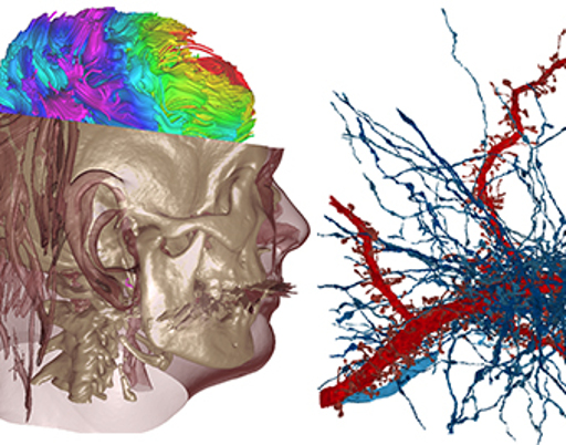 CS 247 Scientific Visualization