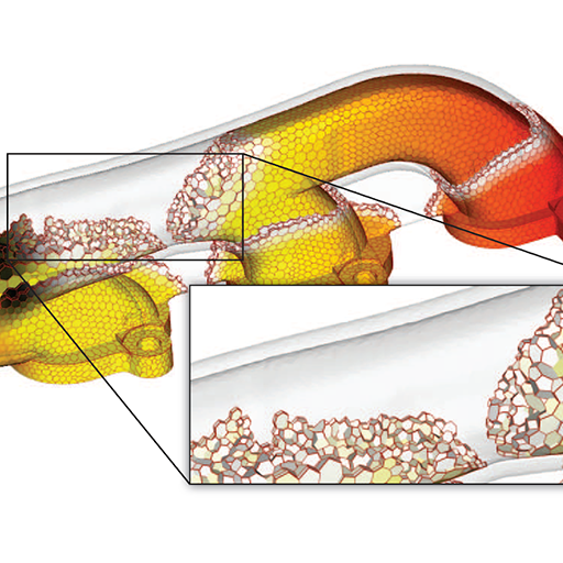Large-Scale Volumetric Mesh Visualization and Analysis